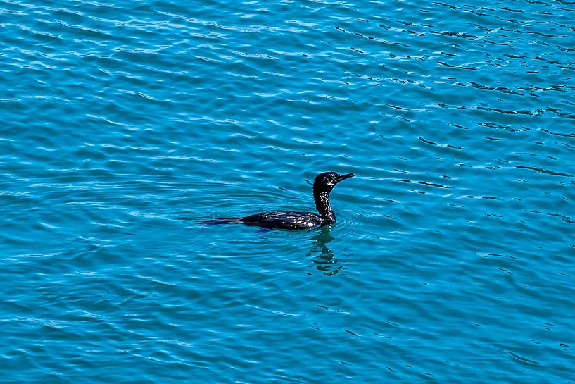 lonely by Thomas Riess