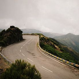 Road through the mountains of Madeira by Dian Schuurkamp