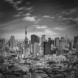 Magnifique panorama de Tokyo | monochrome sur Melanie Viola