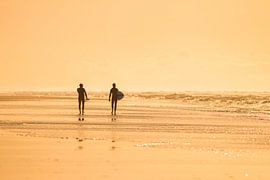 Surf, mer et plage Ameland sur Nicole Nagtegaal