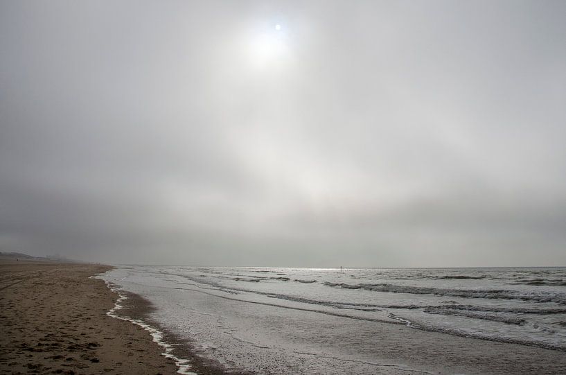 sea by Renée Teunis