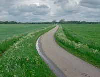 Straße durch den Polder