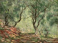 Olivenhain im Moreno-Garten Claude Monet