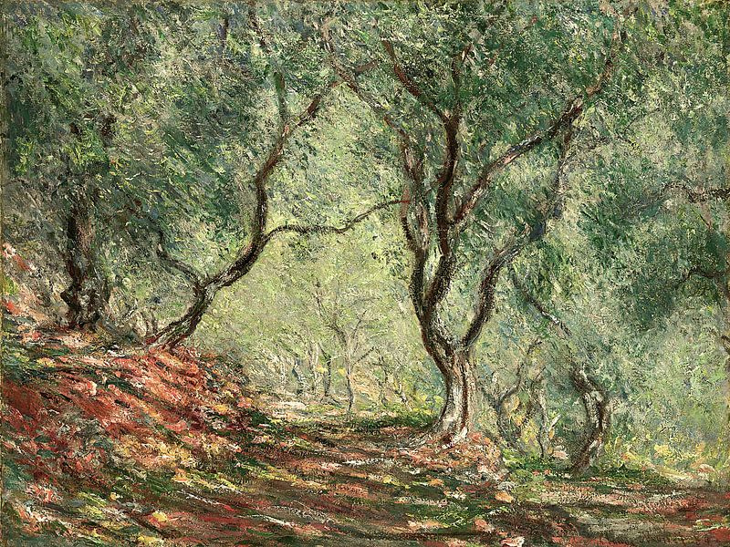 Olijfgaard in de Morenotuin Claude Monet van Apolo Prints
