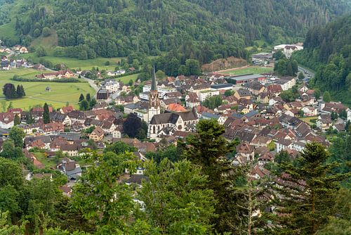 Aux alentours de Schönau, dans la Forêt-Noire