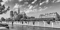 PARIS Kathedrale Notre-Dame | Panorama Monochrom von Melanie Viola Miniaturansicht