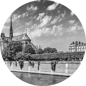PARIS Cathedral Notre-Dame - Panorama Monochroom van Melanie Viola