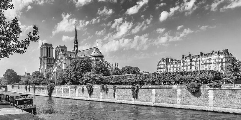 PARIS Cathedral Notre-Dame - Panorama Monochroom van Melanie Viola