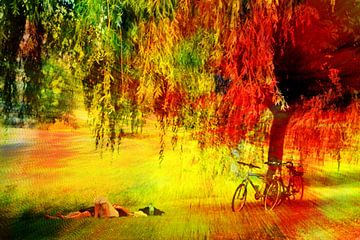 Sleeping under the willow