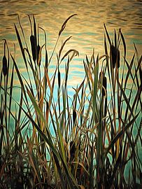 Rohrkolben von Dorothy Berry-Lound