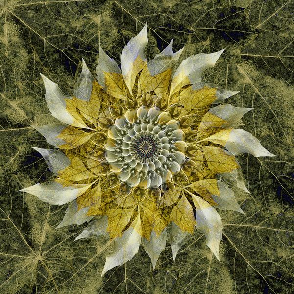 Mandala gold leaf by Klaartje Majoor