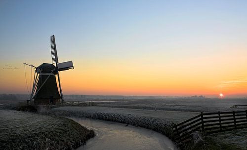 Windmolen nabij Hoeksmeer, Nederland