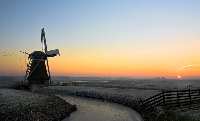 Windmühle in der Nähe von Hoek, Niederlande von Peter Bolman