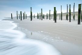 Rising water at Palendorp Petten
