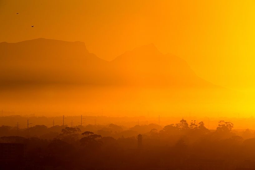 Golden Glory: Sonnenuntergang über dem Tafelberg. von Arthur van Iterson