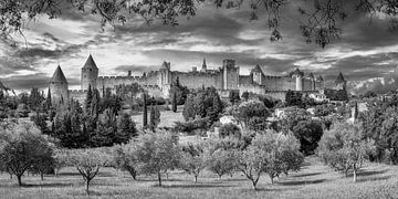 Carcassonne met prachtig landschap en olijfbomen in zwart-wit van Manfred Voss, Schwarz-weiss Fotografie