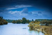 Uitzicht over natuurgebied Het Goorven