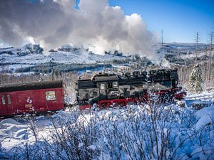 Die Brockenbahn bei Schierke im Oberharz