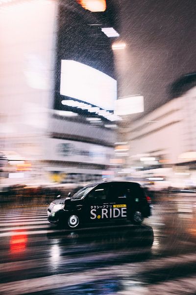 The Heartbeat of Tokyo: The People Who Shape the City by Ken Tempelers