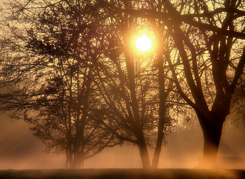 Zonsopgang in de mist van Edgar Schermaul