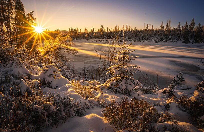 Winterzauber im Harz von Steffen Henze