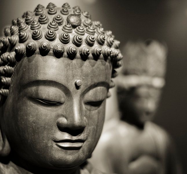 Hoofd van een stenen Buddha beeld in sepia van Rob van Keulen