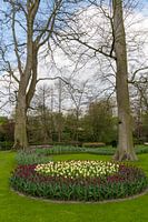 Ronde boeketvorm van tulpen