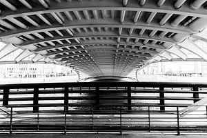 Kronprinzenbrücke von unten in schwarz-weiß, die Straßenbrücke des spanischen Architekten Santiago C