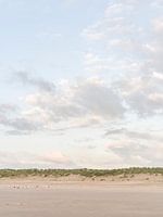 Kolonie meeuwen op het strand onder schilderachtige wolkenlucht