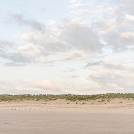 Kolonie meeuwen op het strand onder schilderachtige wolkenlucht van Laura-anne Grimbergen