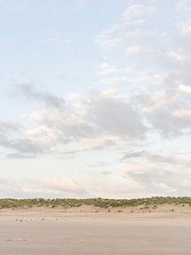 Colony of seagulls on the beach under a picturesque cloudy sky by Laura-anne Grimbergen