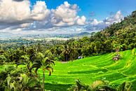 Montagnes Terrasse de riz Rizière avec nuages et palmiers à Bali Indonésie par Dieter Walther Aperçu