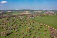 Luchtfoto van de Bellet Boomgaard bij Cottessen in Zuid-Limburg van John Kreukniet thumbnail
