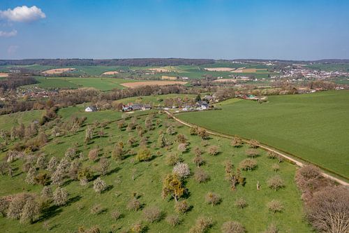 Aerial view of the Bellet Orchard near Cottessen in South Limburg by John Kreukniet