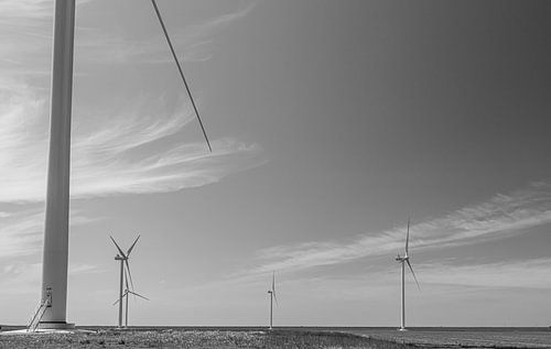 Modern windmills near the IJmeer near Almere