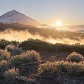 Tenerife