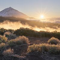 Tenerife
