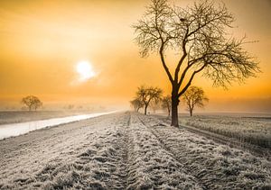 Wintermorgen am Leopoldskanal im Landkreis Emmendingen