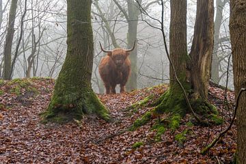 Auf der Suche nach von Marcel Jagt