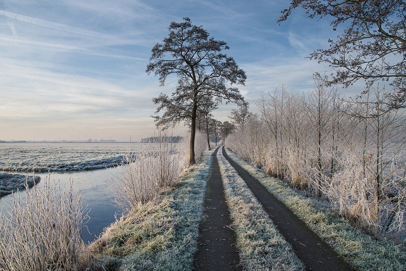 Chemin pittoresque glacé par Hans Goudriaan