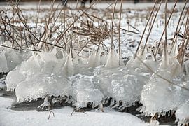Nieuwkoopse Plassen in winter with ice by Arie Bon