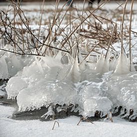 Nieuwkoopse Plassen in de winter met ijs van Arie Bon