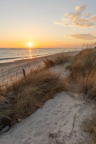 Sunset on the beach, nature reserve of Los Corrales de Rota, Costa de la Lutz, Córdoba, Andalusia, Spain