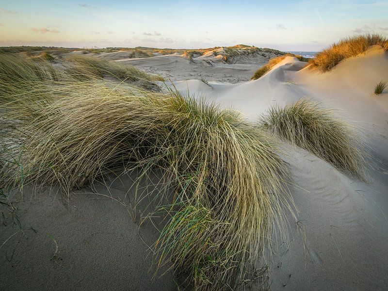Light and shadow by Dirk van Egmond