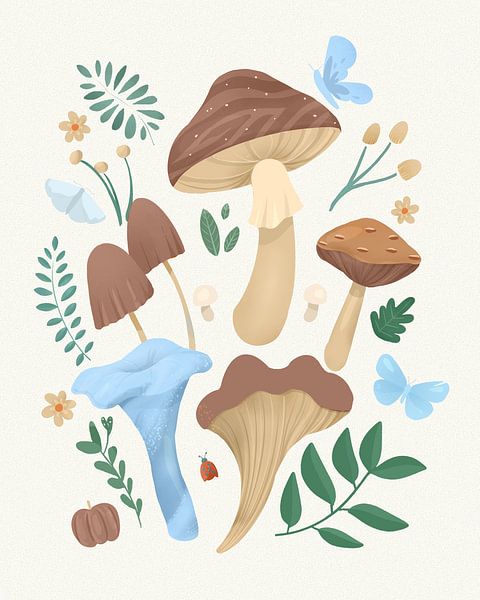 Mocha Fungi by Petra Lizde