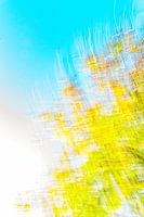 yellow blue with white