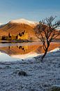 Zonsopgang op Kilchurn Castle weerspiegeld in Loch Awe, Argyll en But van Arch White thumbnail