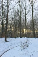 Pays des merveilles d'hiver 3