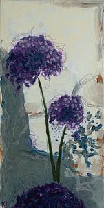 Allium Silver Garden 3 by Karin Frenay