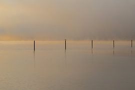 misty sunrise over the water with reflective poles and pastel colors by Kim Willems